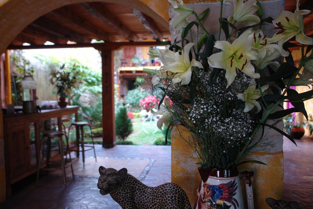 Hotel Posada Primavera San Cristóbal de Las Casas Dış mekan fotoğraf