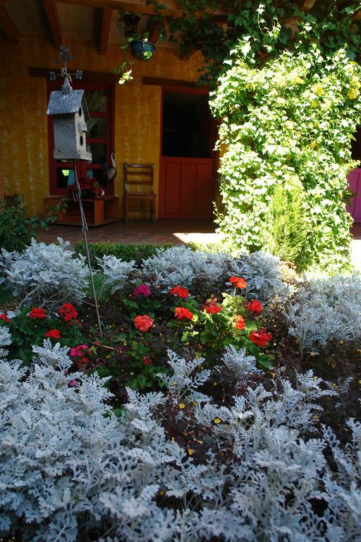 Hotel Posada Primavera San Cristóbal de Las Casas Dış mekan fotoğraf