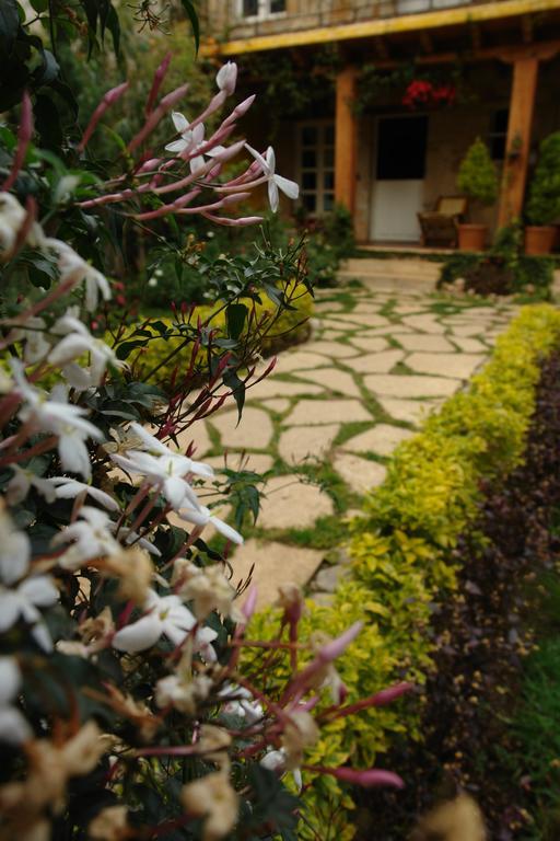 Hotel Posada Primavera San Cristóbal de Las Casas Dış mekan fotoğraf