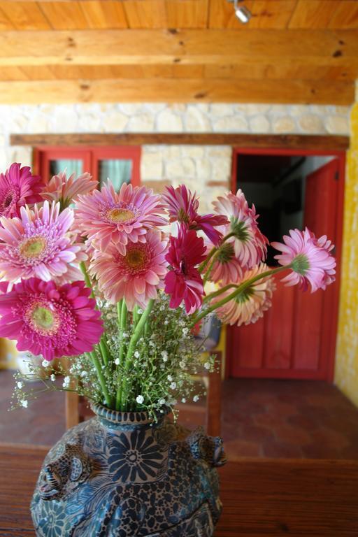 Hotel Posada Primavera San Cristóbal de Las Casas Dış mekan fotoğraf