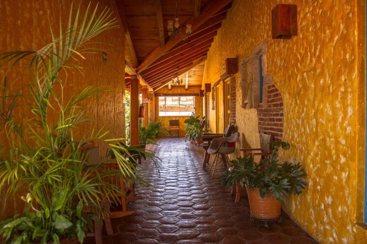 Hotel Posada Primavera San Cristóbal de Las Casas Dış mekan fotoğraf